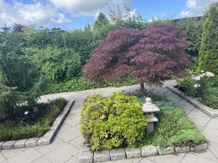 Smuk have udført af MP Anlæg